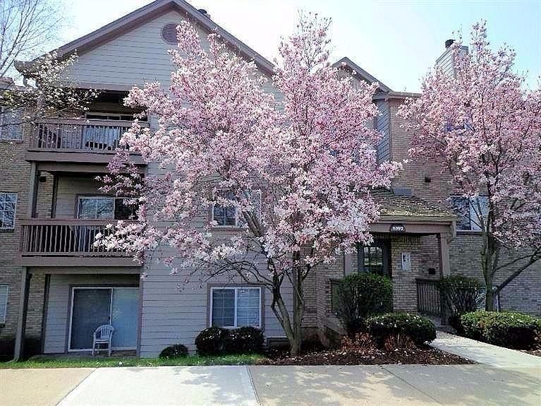 1st image of 8392 Spring Valley Ct APT 102