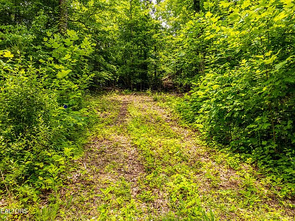 4th image of 2353 Dave Smith Rd