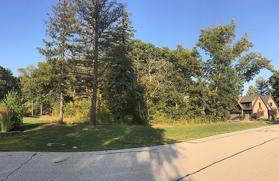 2nd image of 11 Meghans Ln