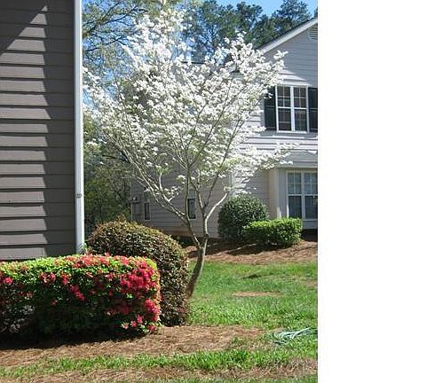 3rd image of 5226 Amity Springs Dr