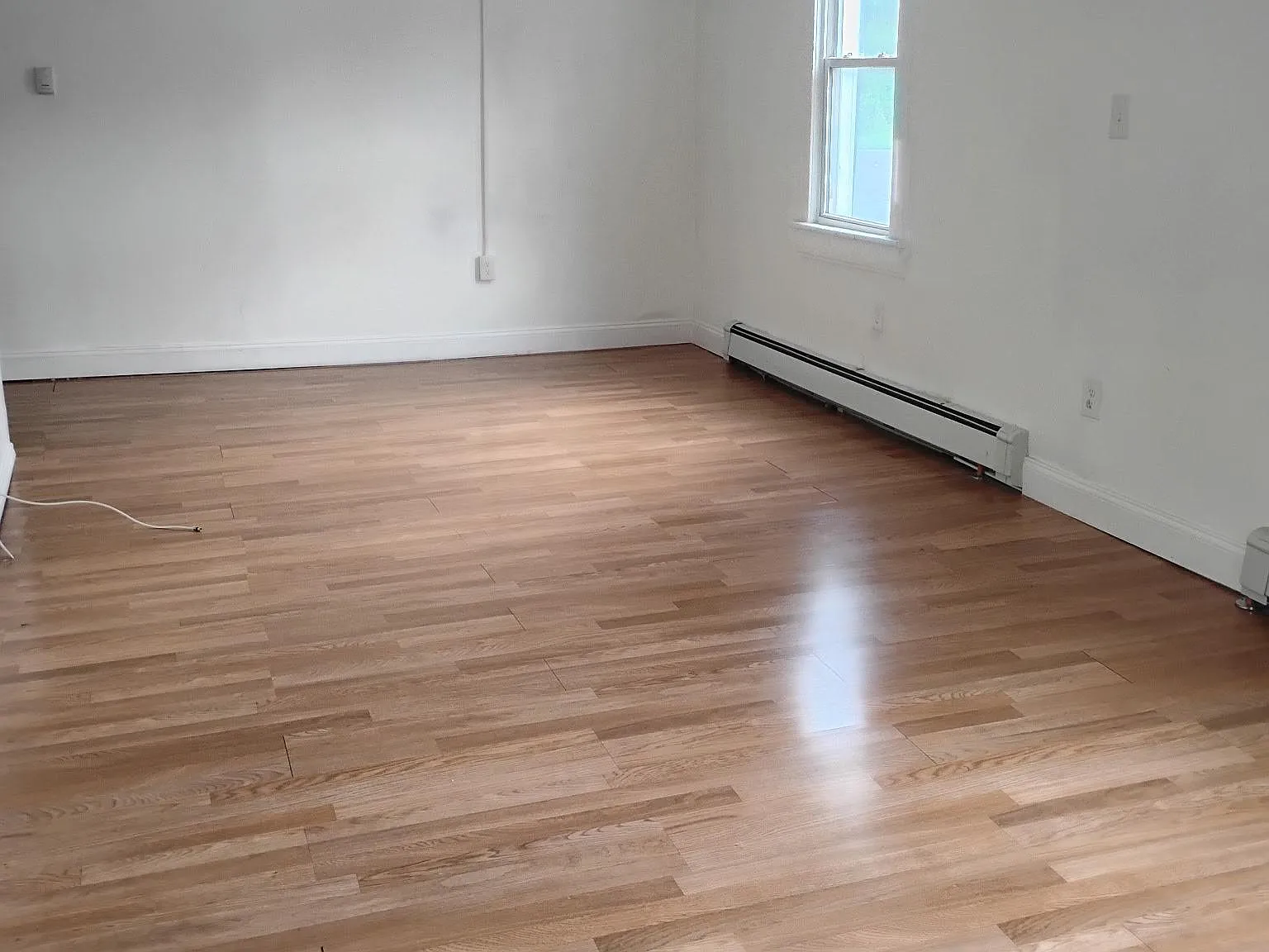 2 bed, 1.0 bath, 1000 sqft, $1,575 — Photo 3