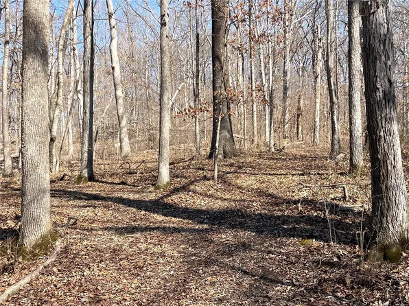 18947 Hardt Rd, Glencoe, MO 63038