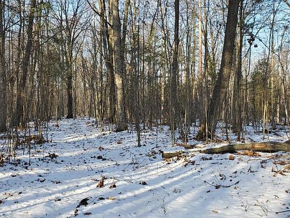 2nd image of 13 Acres Sand Road