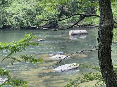 0 Thunderhead Trl #23, Demorest, GA, 30535