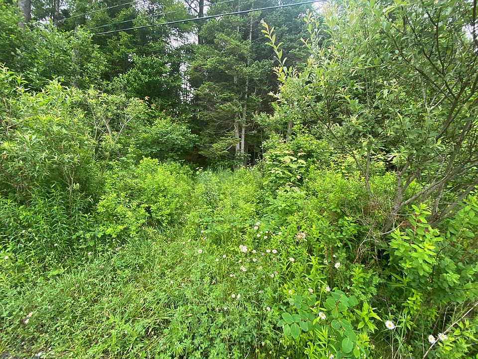 0 Route 374, Lyon Mountain, NY 12952 Zillow