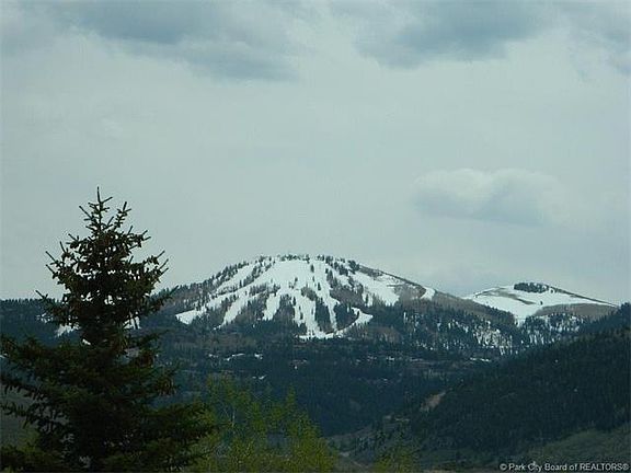 5th image of 3305 Mountain Ln