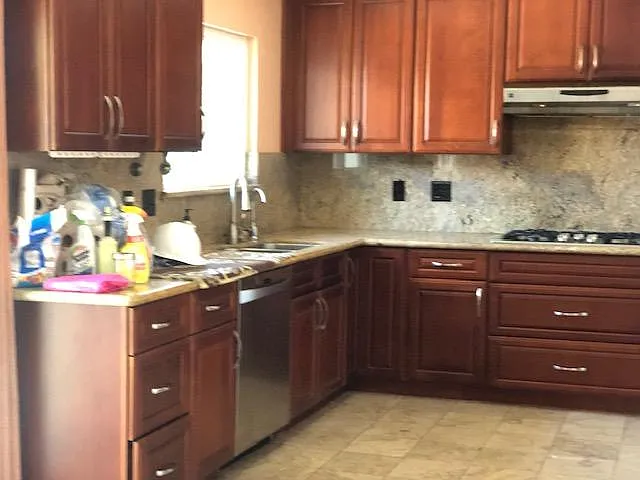 Kitchen- Dishwasher, Sink