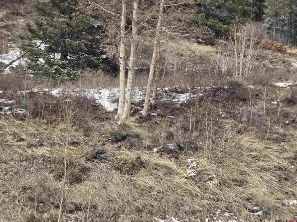 SDCR Unit R2 Balleroy, Fort  Garland, CO 81133