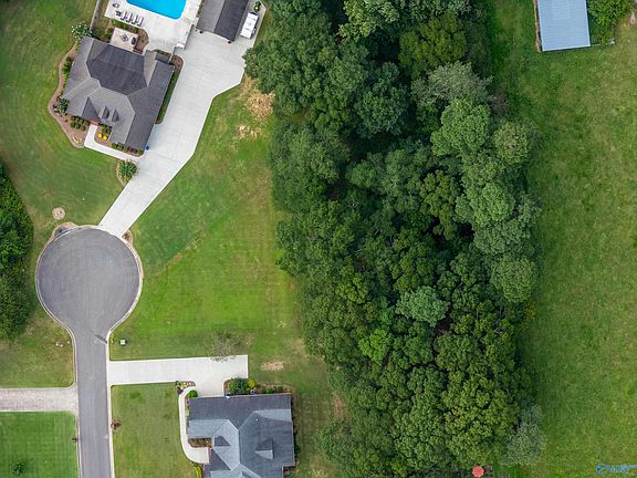 3rd image of 12 Mitchem Ln