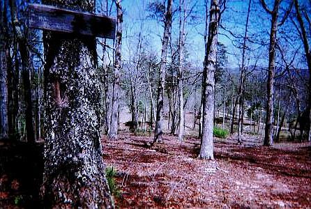 1st image of 4 Little Mountain Ln