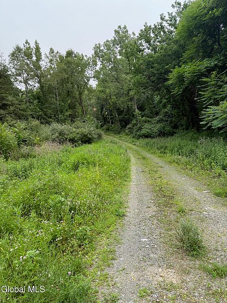 5th image of 48 Spring Landing Boulevard