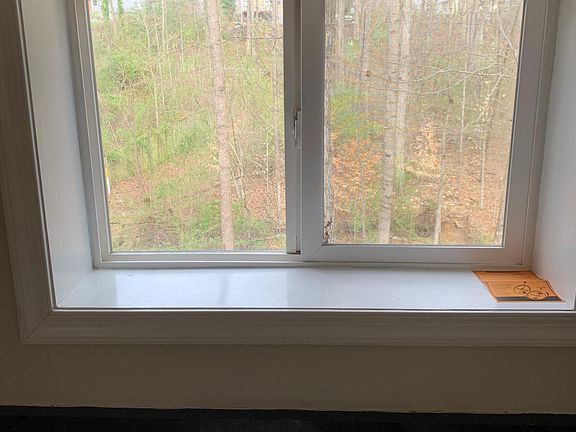 View from kitchen sink