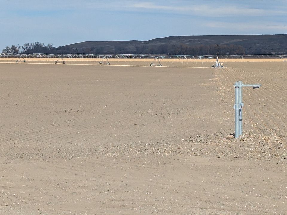 1st image of Lower River Rd