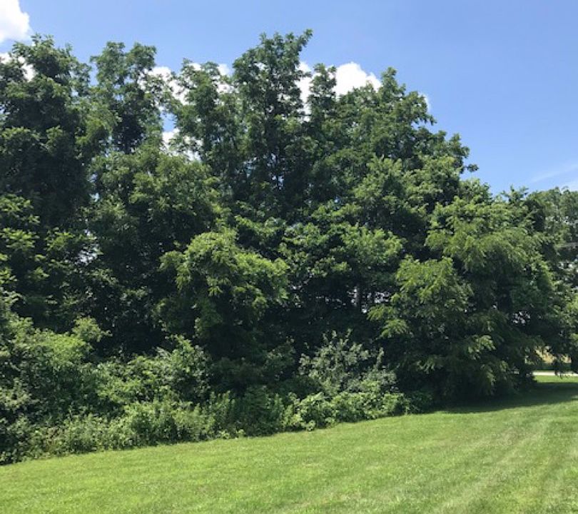 101 Maple St, Sibley, MO 64088 Zillow