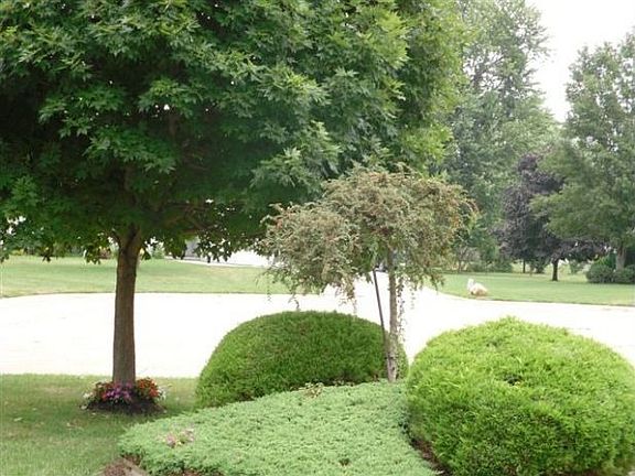 4th image of 815 Meadowood Blvd