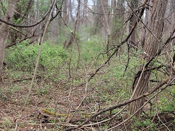 4th image of Winfield Rd