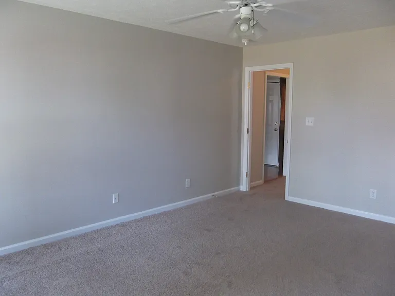 2937 Piney Mountain Dr — Photo 17
