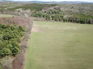 0 Switzer Hill Rd, Beaver Dams, NY 14812