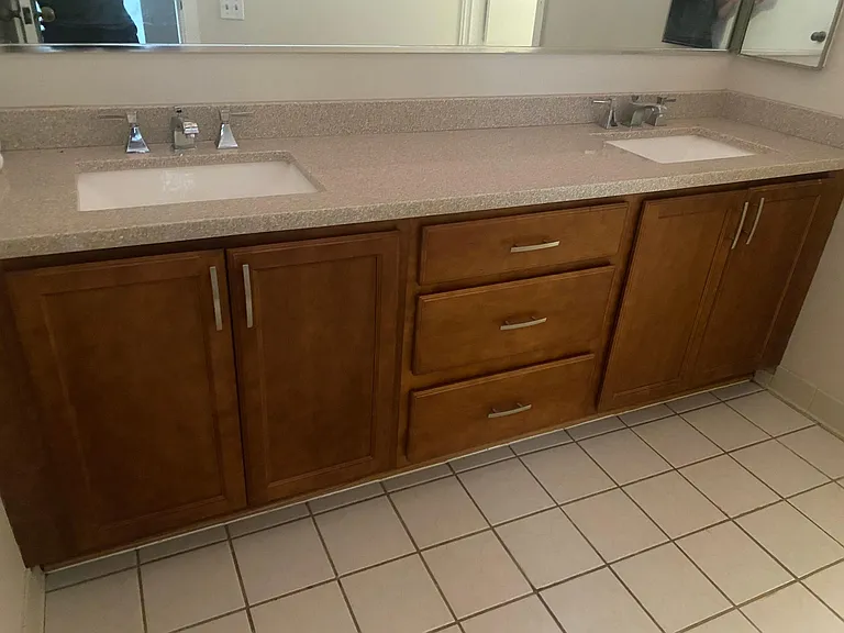 Dual sink and vanity