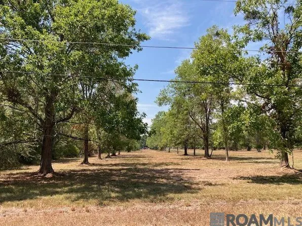 14159 A Poirrier Rd, Gonzales, LA 70737