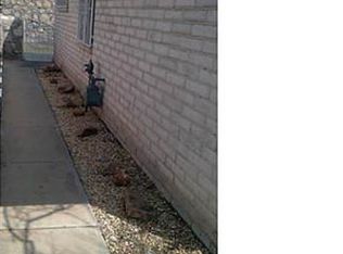 2308 Gene Littler Dr, El Paso, TX 79936