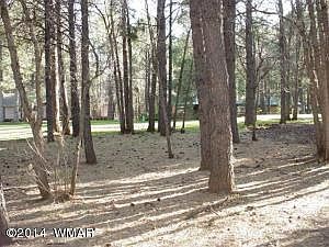 4th image of 4247 Diamond Creek Cir