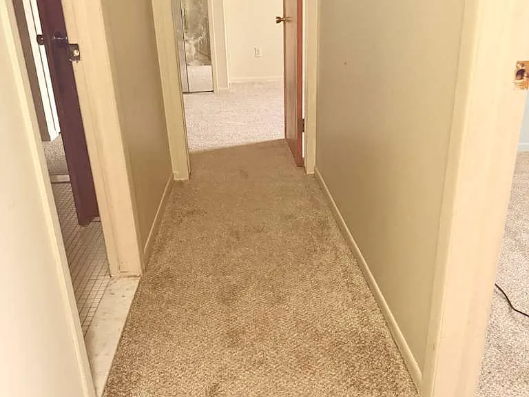 8524 Hampshire Dr — Photo 9