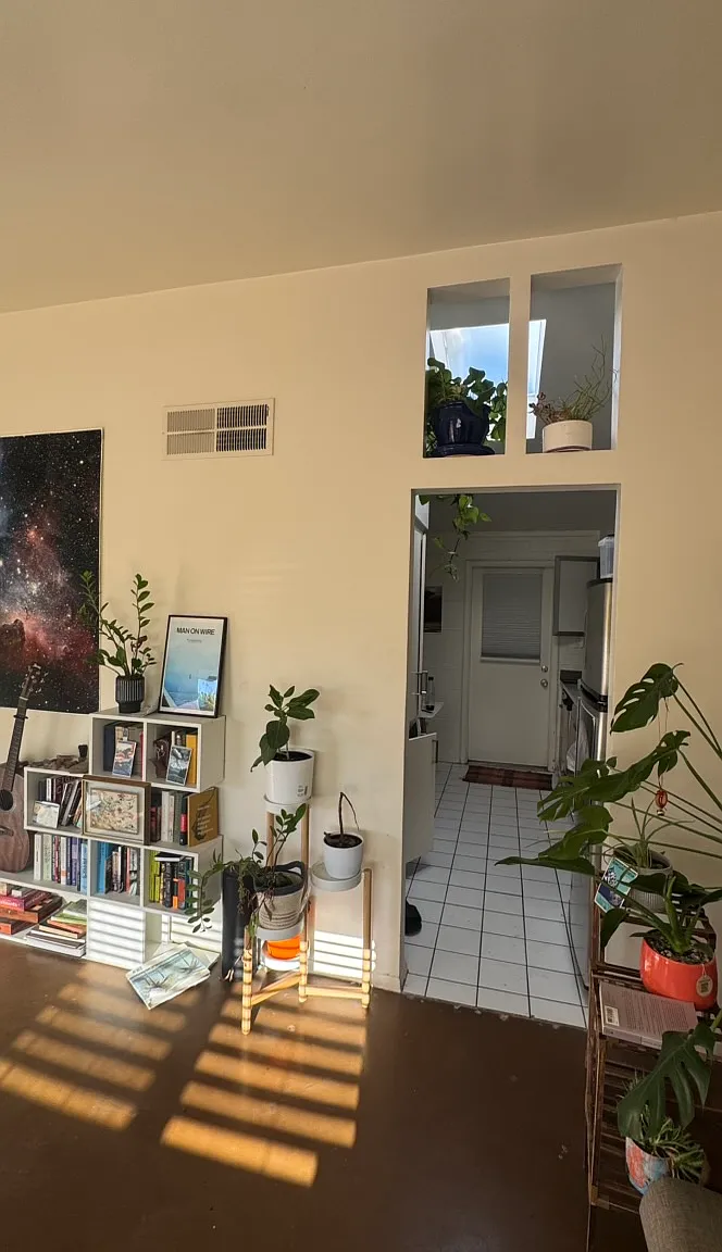 1 bed, 520 sqft, $1,100 — Photo 4