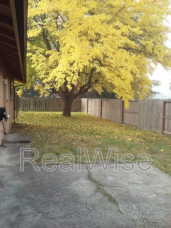 2 bed, 1.0 bath, 1000 sqft, $1,375 — Photo 3