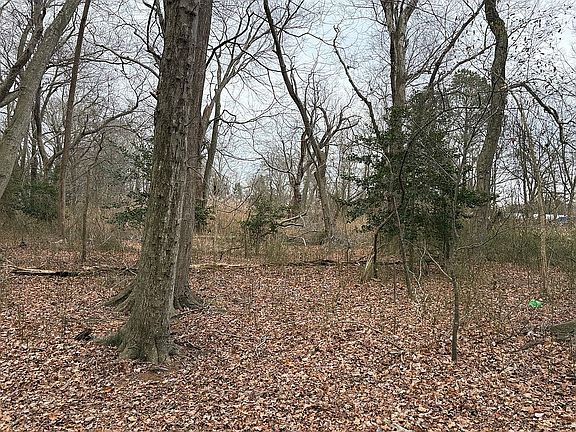 3rd image of 15 Rettig Ln