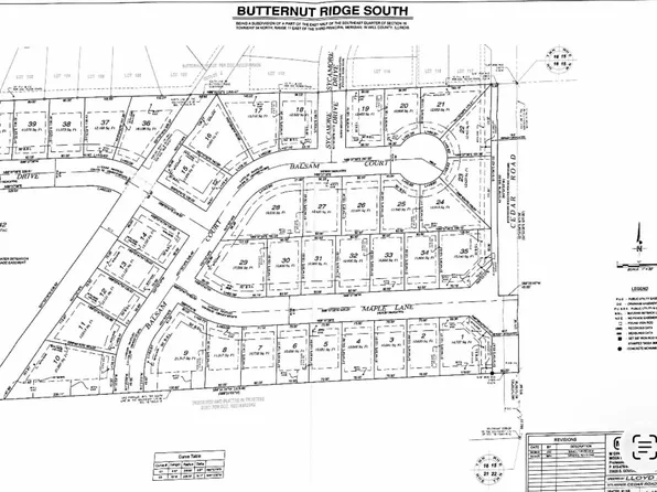 35 N Maple St Lot 35, Frankfort, IL 60423