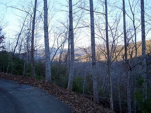 2nd image of 8182 Red Maple Ln #8182