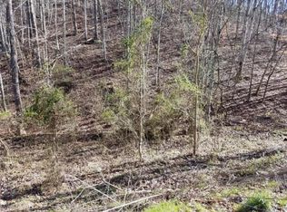 Miller Hollow Rd, Bean Station, TN 37708