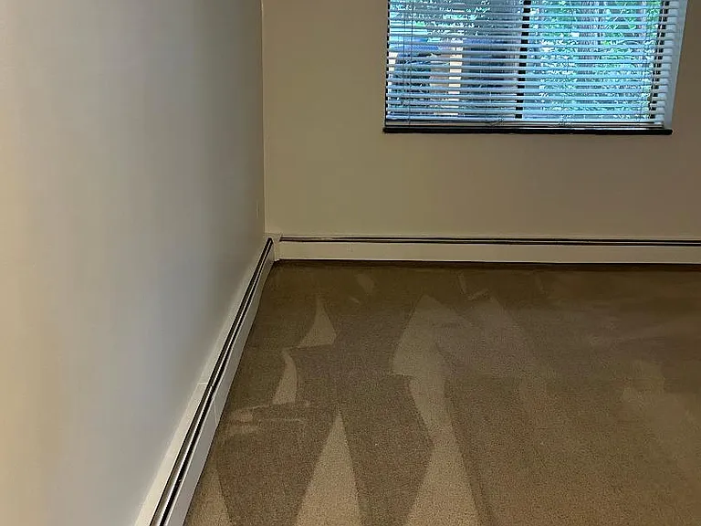 271 Chelsea St #10 — Photo 5