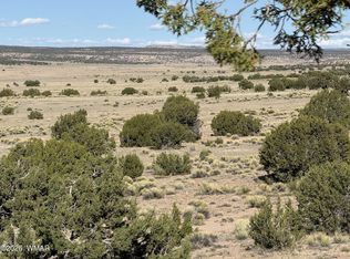 Woodland Valley Rnch Lot 849, Saint Johns, AZ 85936