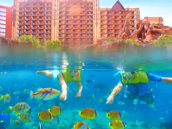 Disney Aulani Lagoon Pool with Live Fish!