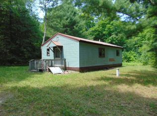 1053 County Road 393, Newberry, MI 49868