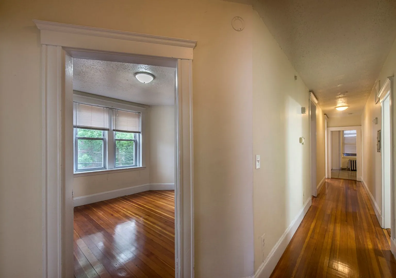 2-BED Allston Village — Photo 3