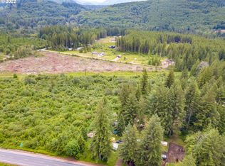 12155 Lewis River Rd, Ariel, WA 98603