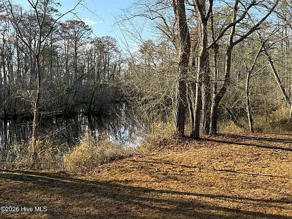 5th image of 103 Raccoon