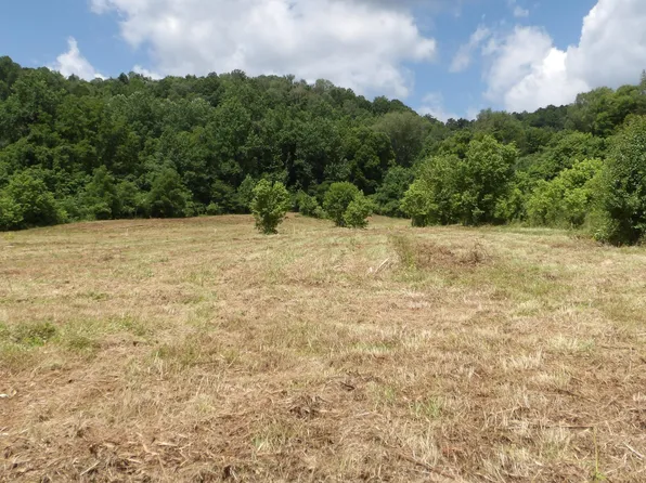 Lonnie Reecer Rd, Celina, TN 38551