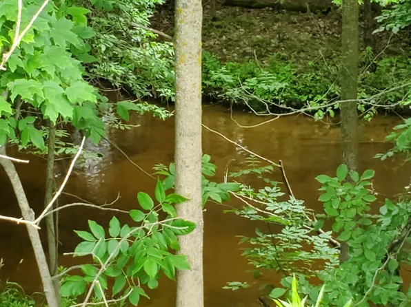 0 Wickes Rd, West Branch, MI 48661