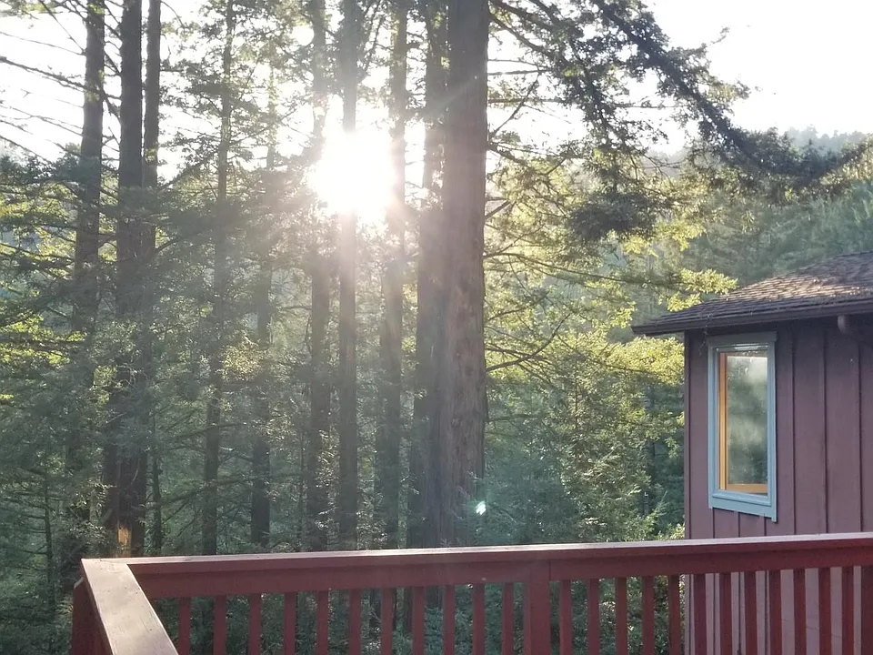 Deck View