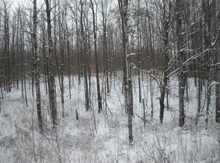 Big Fill Rd, Atlanta, MI 49709