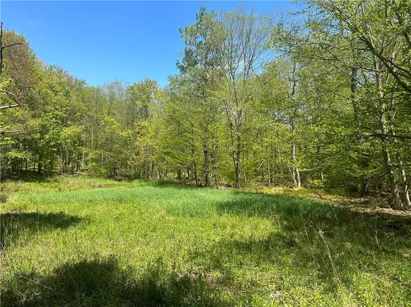 White Roe Lake Road, Livingston Manor, NY 12758