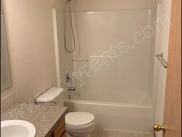 Main Bath_03152019
