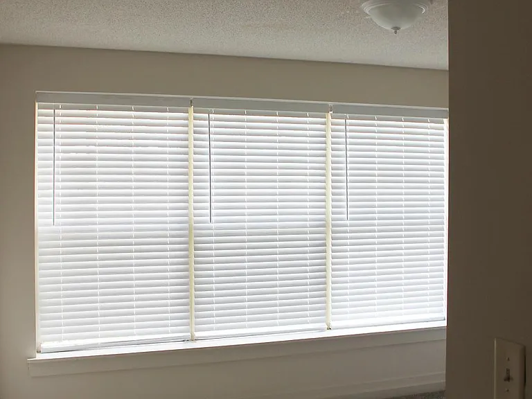1703 Richard Arrington Jr Blvd S #11 — Photo 16