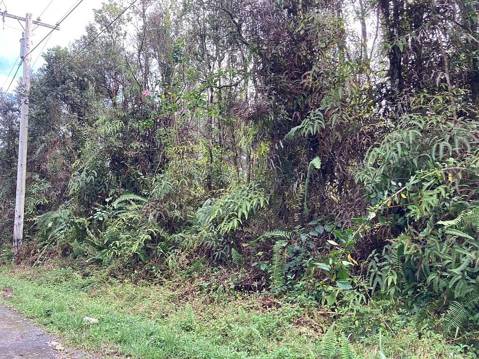 2nd image of Lehua Rd Lot 155