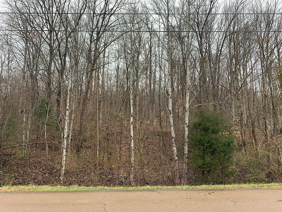 2nd image of 59 Frank Tate Rd