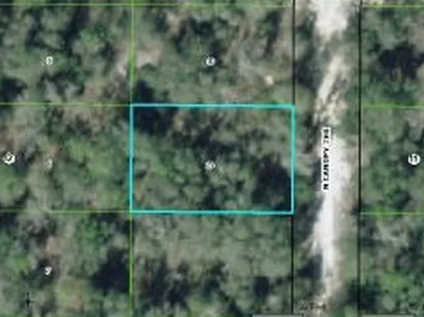 6618 N Canopy Ter, Hernando, FL 34442